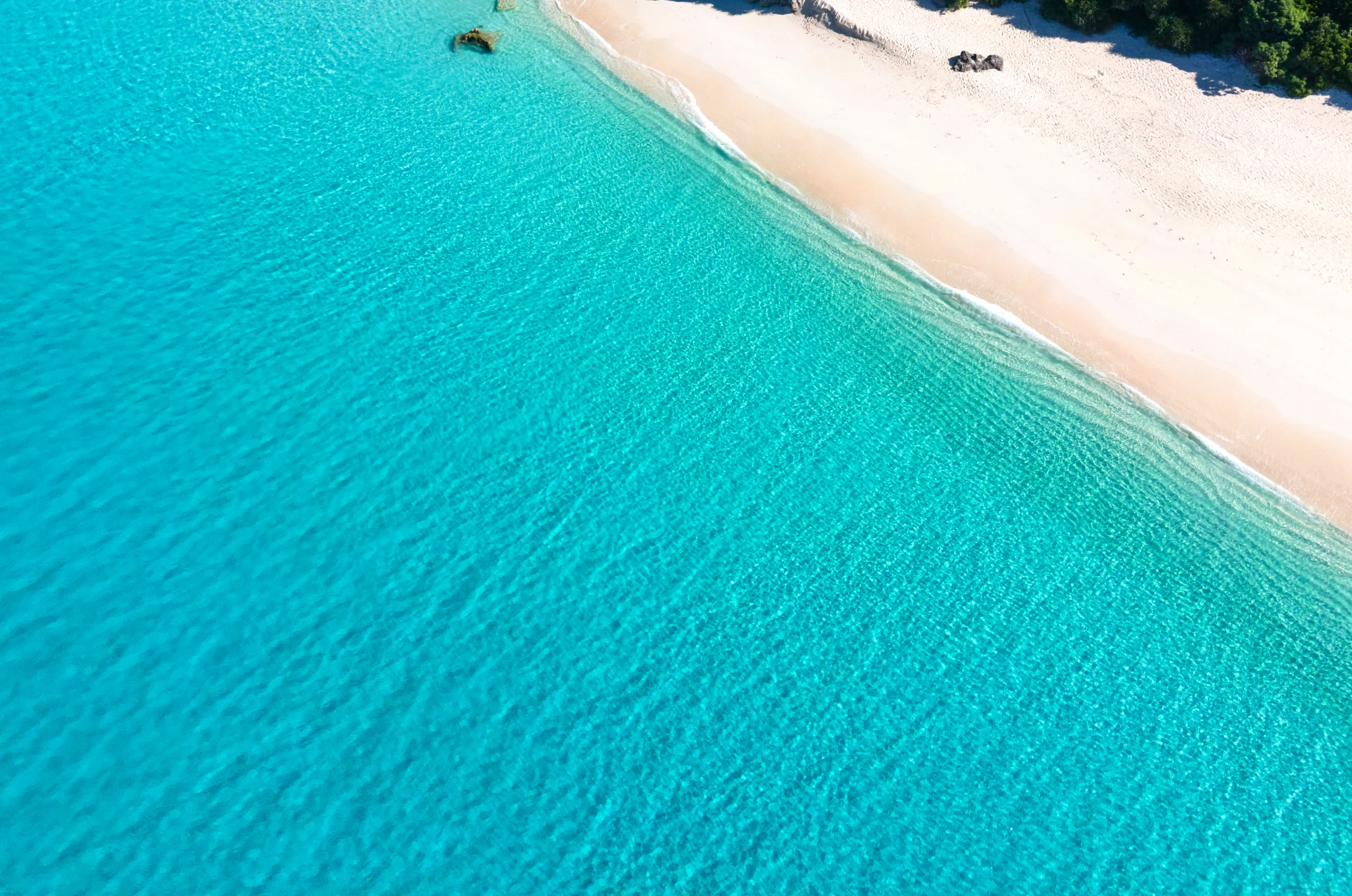 南北商事 -NANPOKU-