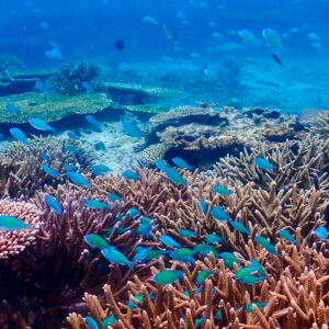 3泊4日で沖縄の海を満喫